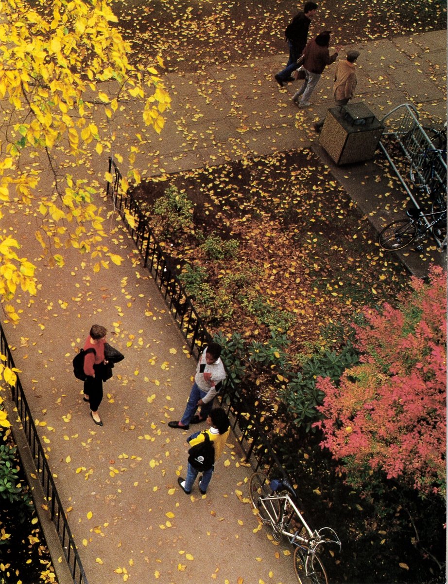 photo15.jpg