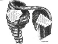 photo9_small.jpg