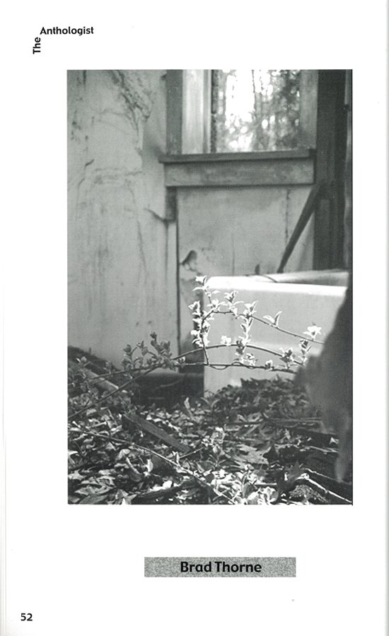 photo49.jpg