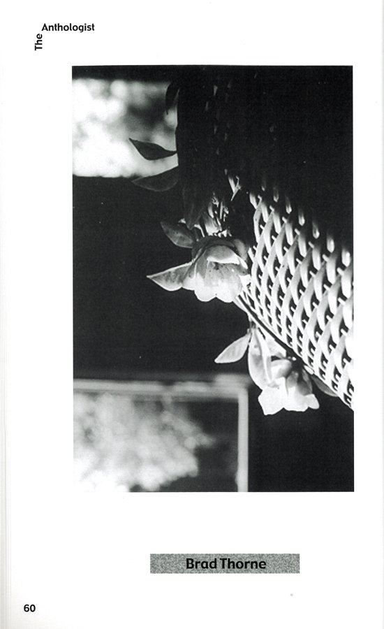 photo57.jpg