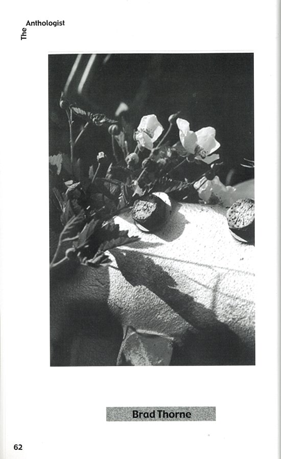 photo59.jpg