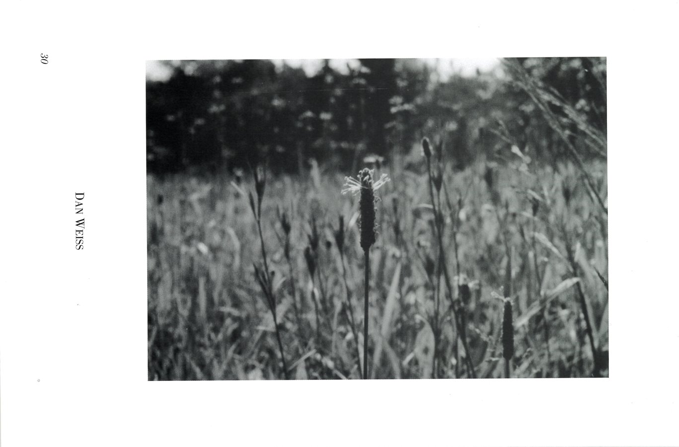photo30.jpg
