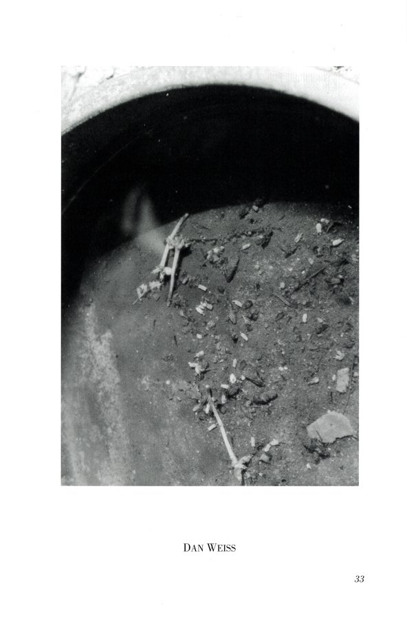 photo33.jpg