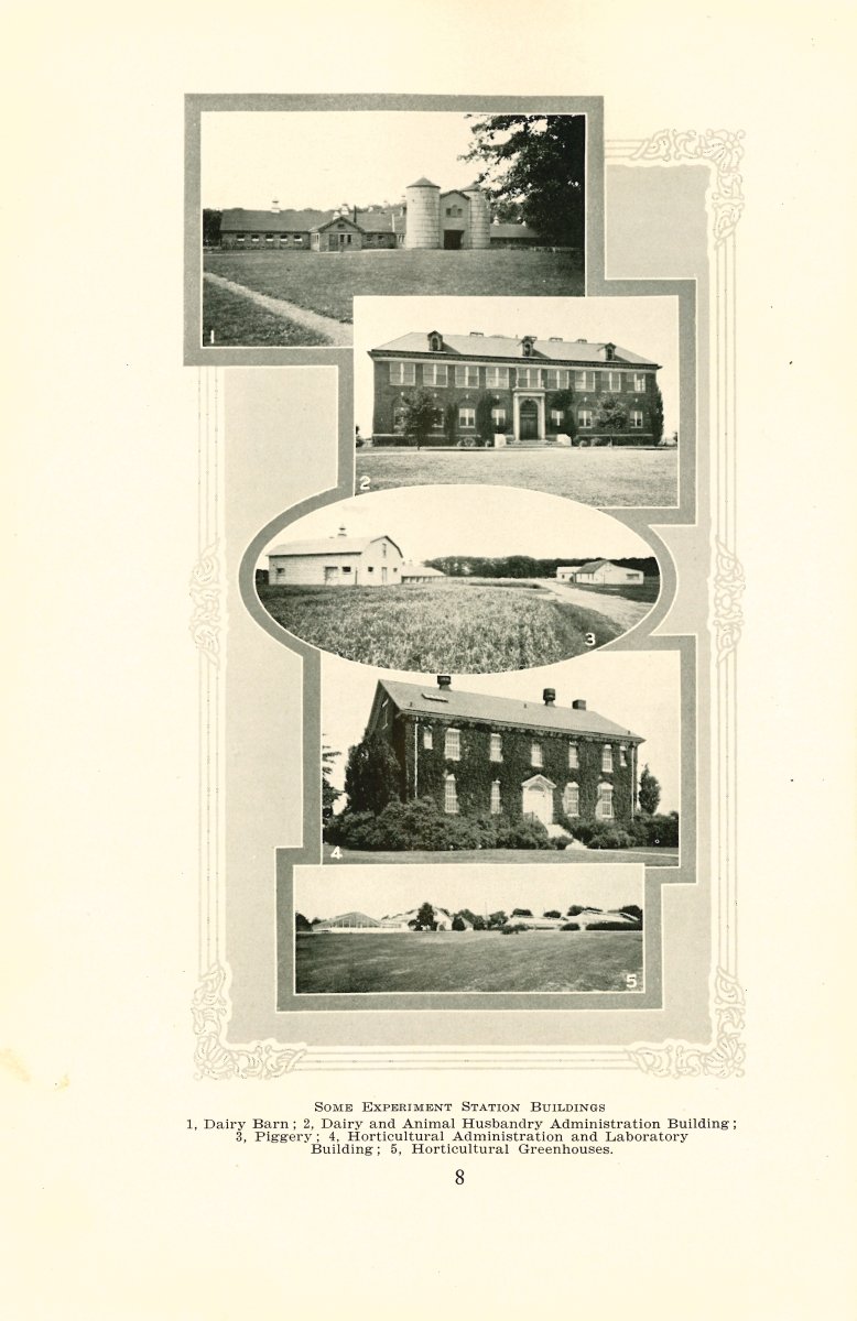 photo9.jpg