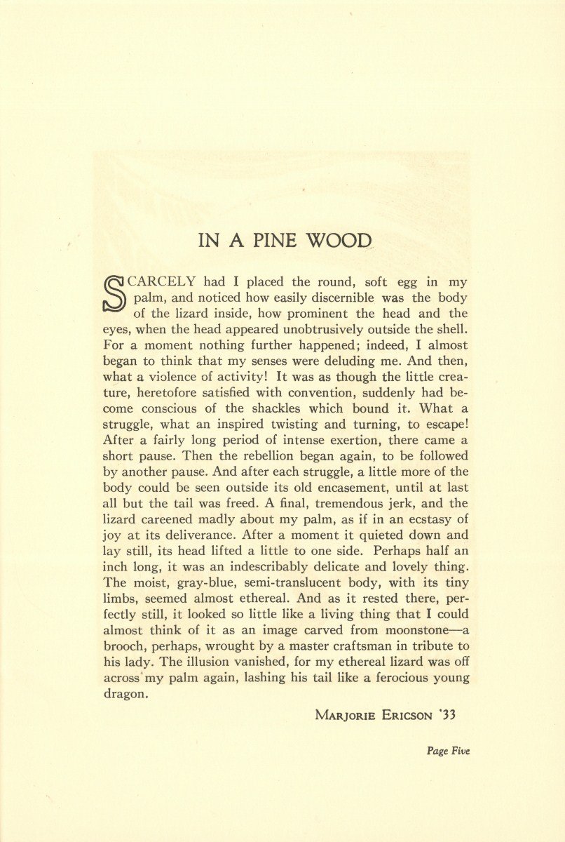 hornbookmagazinevol6no2march1933005.jpg